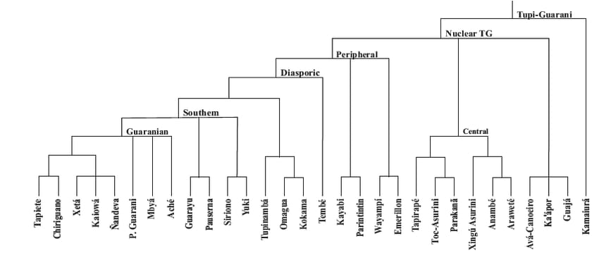 Tupi guarani Languages