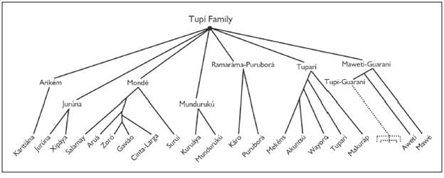 Tupian Branches